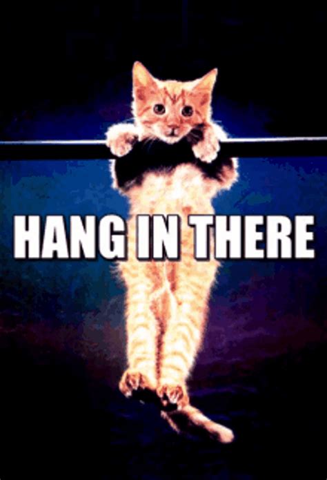 hang in there gif|funny hanging in there pictures.